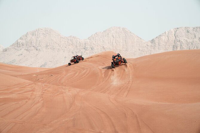 Dune Buggy Experience and Dinner at Mleiha Archaeological Center - Fossil Rock and fossil discovery: when the sand has a story