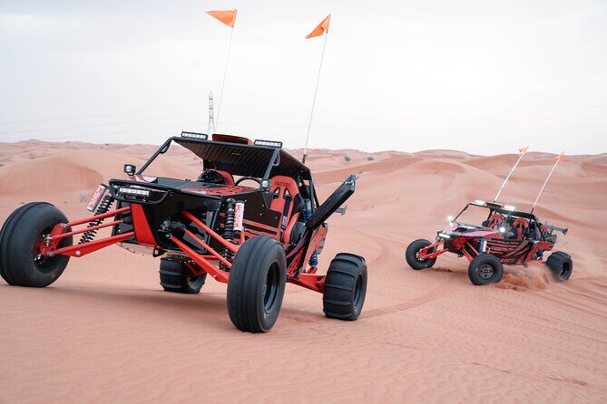 Dune Buggy Experience and Dinner at Mleiha Archaeological Center - Zerzura camel ride: the calm before the sandboarding