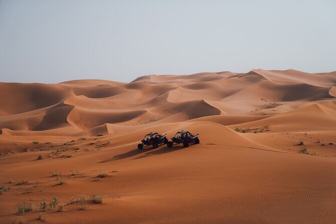 Dune Buggy Experience & Fossil Discovery in Mleiha National Park - Mleiha’s UNESCO desert: more than a drive through sand