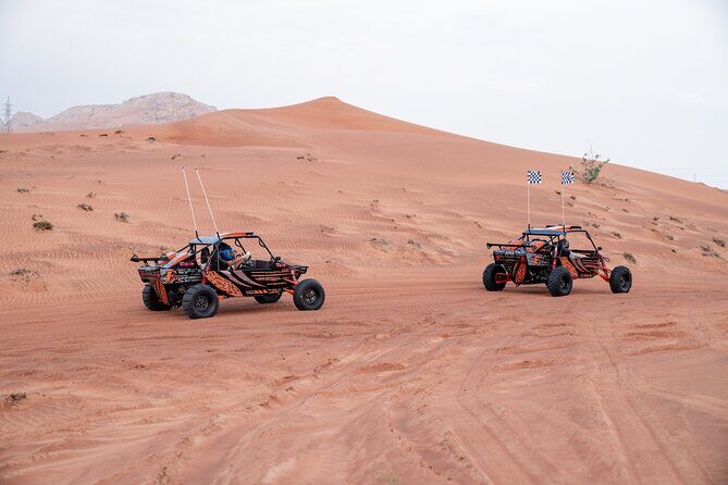 Dune Buggy Experience & Fossil Discovery in Mleiha National Park - Price and value: what $327 per group gets you