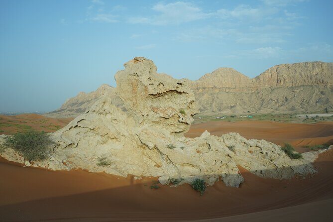 Dune Buggy & Private Dinner in the Dunes in Mleiha National Park - How the 5-hour schedule actually feels on the ground