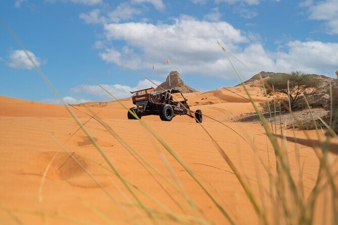 Dune Buggy & Private Dinner in the Dunes in Mleiha National Park - Who this private buggy + dune dinner suits best