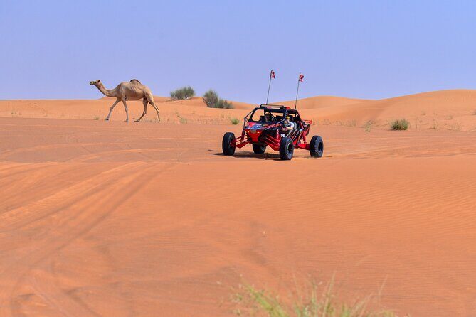 Dune Buggy Ride with Private BBQ Dinner in the Desert - Price and Value Check: Is $550 Per Person Worth It?