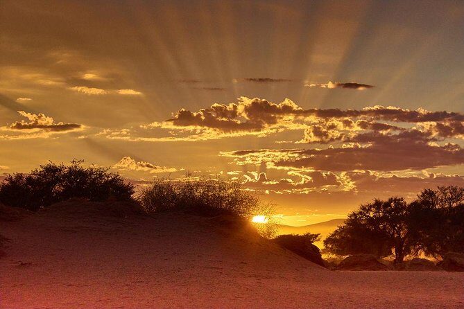 Early Morning Desert Safari With Camel Trekking Experience - Key Points at a Glance