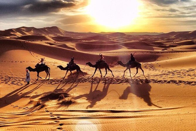 Early Morning Desert Safari With Camel Trekking Experience - Group Size, Crowd Levels, and Why This Feels More Personal