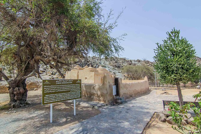 East Coast Dibba & Fujairah Day Trip with Lunch from Dubai - Bithnah Oasis: a green pause before the return to Dubai