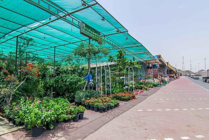 East Coast Dibba & Fujairah Day Trip with Lunch from Dubai - Price and value: what you’re really paying for at $386