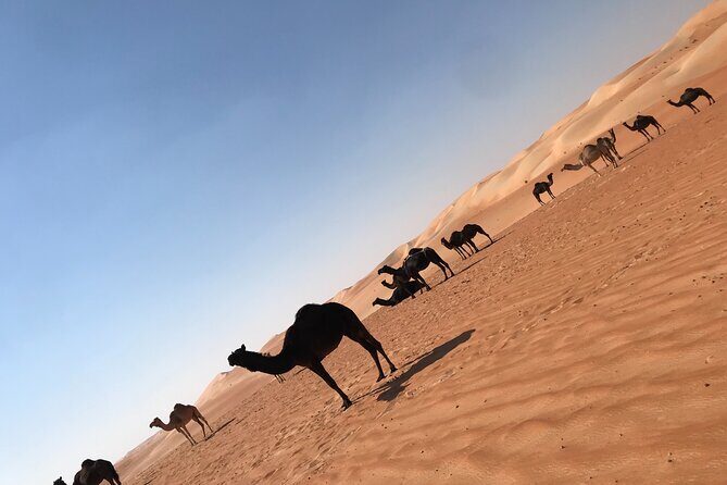 Empty Quarter Sunset Desert Safari - Tal Moreb and the high-dune focus: why this stop matters
