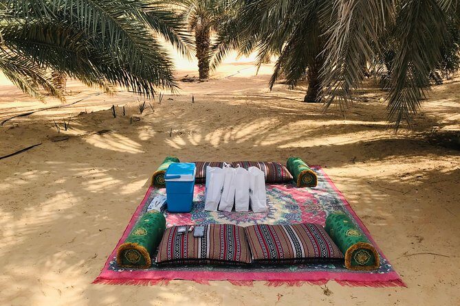 Empty Quarter Sunset Desert Safari - Sand boarding: fun, but not guaranteed