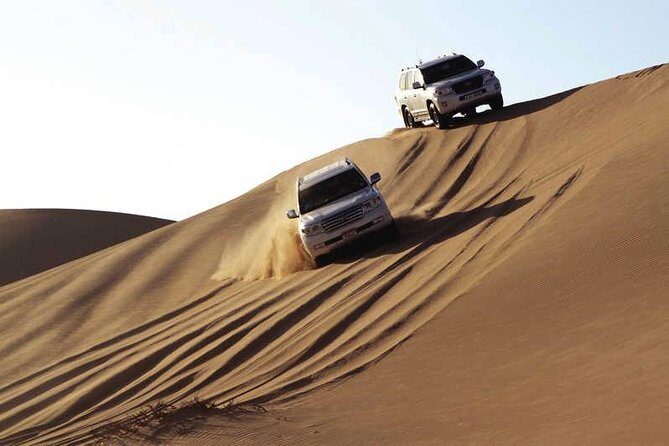 Enjoy Abu Dhabi City Tour and Desert Safari - Punctual, Organized, and Friendly for Groups of All Sizes