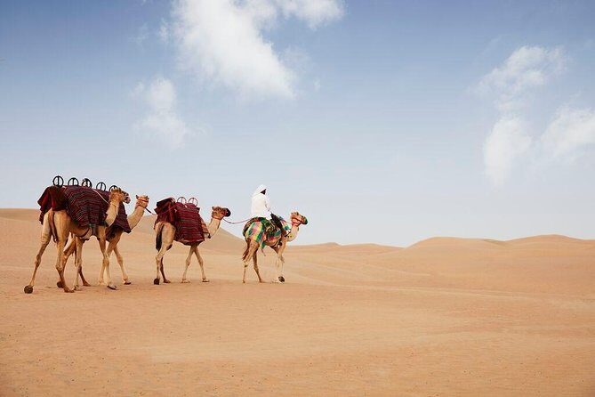 Evening Abu Dhabi Desert Safari & BBQ Dinner- Standard Tour - Sandboarding, camel photos, and the fun-but-simple activity mix