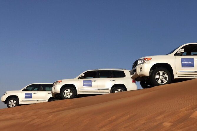 Evening Desert Safari - Who This Evening Safari Fits Best