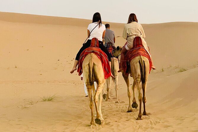 Evening Desert Safari Abu Dhabi with BBQ Dinner & Shows - The Bedouin camp at Al Khatim: activities you can actually do