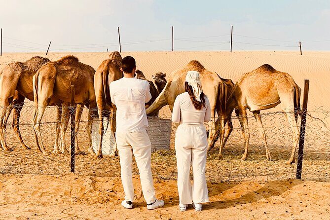 Evening Desert Safari Abu Dhabi with BBQ Dinner & Shows - Sandboarding and quad biking: included fun vs. extra-cost thrills
