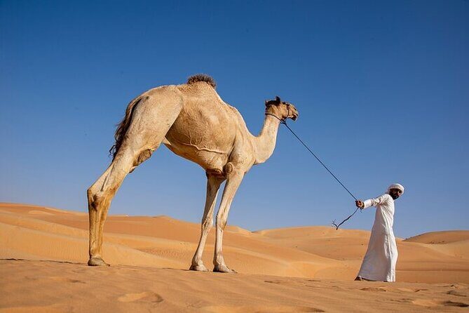 Evening Desert Safari Abu Dhabi with BBQ Dinner & Shows - Shisha, henna, and Arabic clothing photos: where the culture becomes hands-on