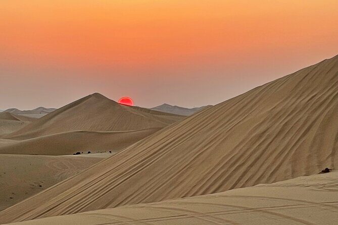 Evening Desert Safari Abu Dhabi with BBQ Dinner & Shows - Price and value: what $80.95 is really buying you