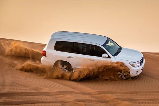 Evening Desert Safari Abu Dhabi with Hot BBQ Dinner - Key highlights you’ll actually feel
