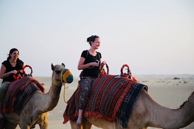 Evening Desert Safari Abu Dhabi with Hot BBQ Dinner - Price and value: what $65 buys you in Abu Dhabi