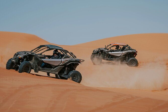 Evening Desert Safari & Adventure Dune Buggy - 4x4 wildlife drive and desert dune bashing: what to expect in the open