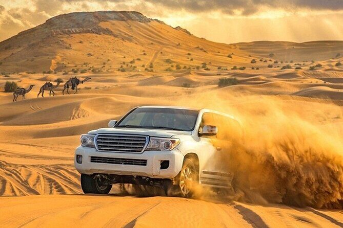 Evening Desert Safari Adventure in Dubai - BBQ dinner at the camp, plus shisha and the show lineup