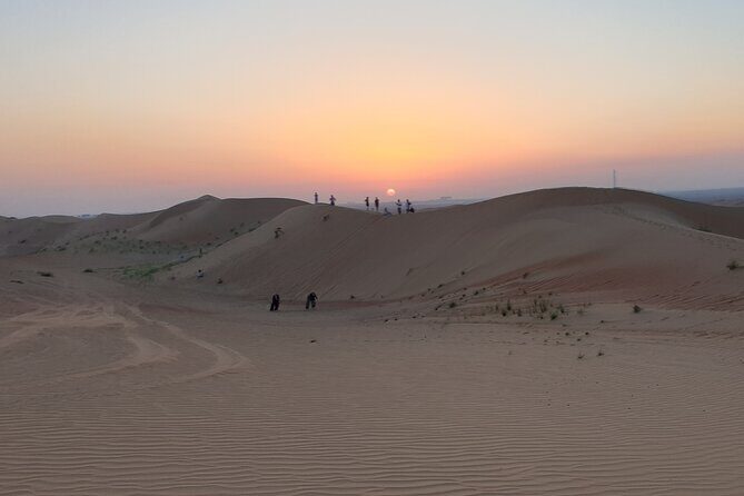 Evening Desert Safari Camel Ride BBQ live shows - Price and logistics: how this $16.75 deal stacks up