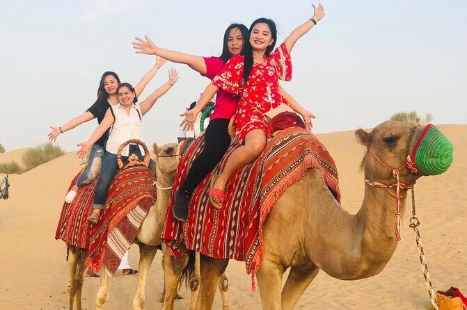 Evening Desert Safari Camel Ride Dinner Live Shows in Abu Dhabi - What’s included (and what costs extra)