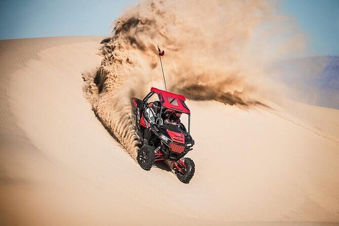 Evening Desert Safari Camel Ride Live Shows Shisha Dinner - How long it really takes: planning your evening around 6–7 hours