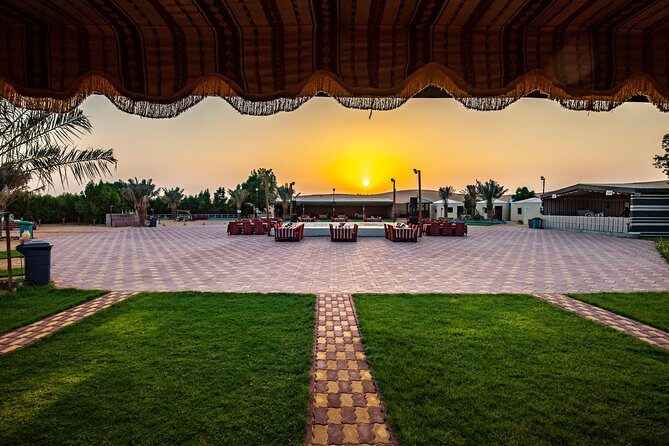 Evening Desert Safari & camel ride – Without Camp Experience - A private desert safari that actually feels easy