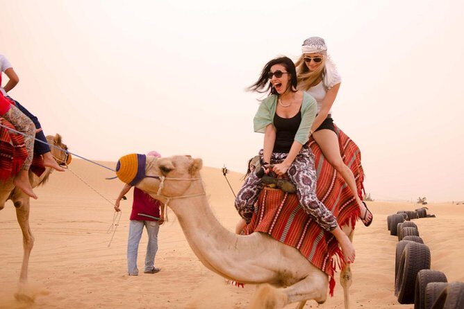 Evening Desert Safari Dubai - Pickup to Dubai Safari Park: How the 6-hour evening moves