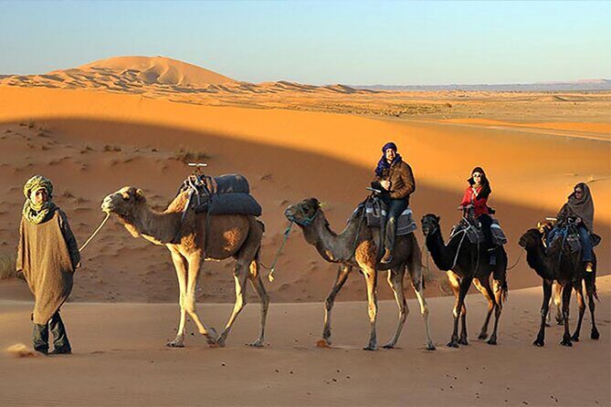 Evening Desert Safari Dubai with BBQ Dinner - H2: Pickup-to-drop timing that keeps the day from dragging