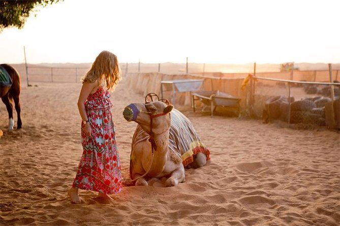Evening Desert Safari Dubai with BBQ Dinner (Pick Up By Bus) - Quick hits: what stands out