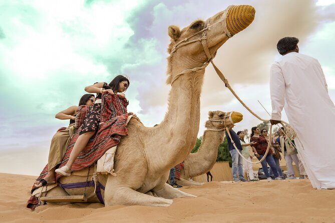 Evening Desert Safari Dubai with BBQ Dinner & Shows - Key highlights you’ll care about