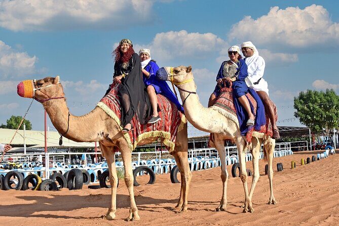 Evening Desert Safari Dubai with Live Shows and BBQ Dinner - Pickup, Timing, and What 6 Hours Actually Looks Like