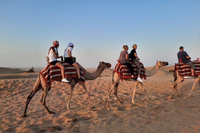 Evening Desert Safari in Dubai with Dune Bashing , Camel Ride and BBQ Dinner - Pickup, drive out, and the sunset photo stop you shouldn’t skip