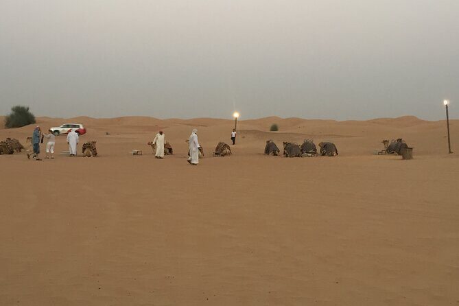 Evening Desert Safari Tour With Live Enterterment And BBQ Dinner - What to pack and how to time your evening
