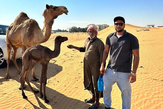 Evening Desert Safari Tours - Night shows: tanoura, fire, and belly dance timing (including Ramadan changes)