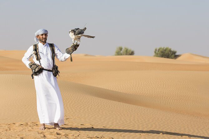 Evening Desert Safari with ATV Quad Bike Dune Bashing BBQ Dinner - Who this tour fits best (and who should think twice)