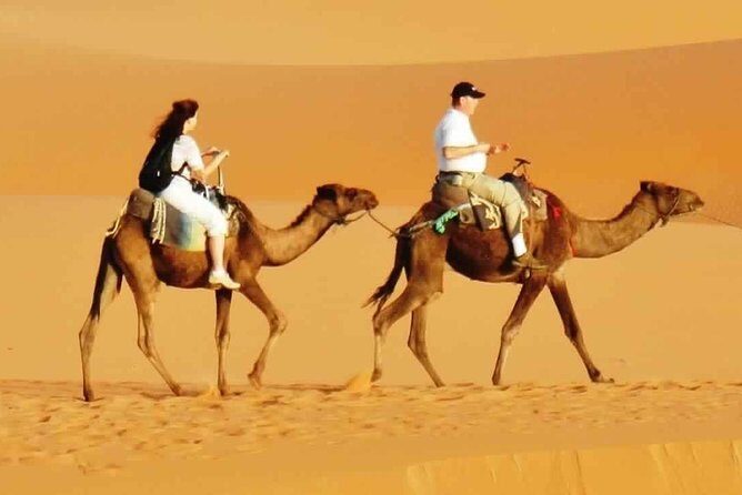 Evening Desert Safari with BBQ Dinner & 7 Live Show's - Sunsets, Shows, and the Dubai Desert Timing That Matters