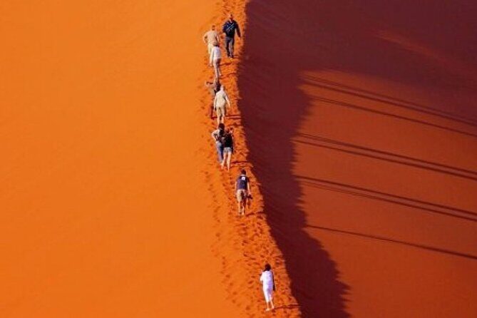 Evening Desert Safari with Belly Dance and BBQ Dinner and Camel Ride - Dinner and shows: how the night closes strong