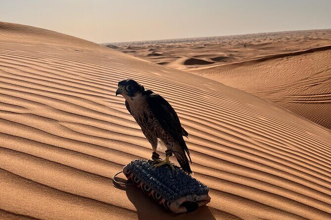 Evening Dubai Desert Safari, Red Sand, Premium camp shows & Diner - Premium/VIP camp vibe: where the desert turns into dinner plans