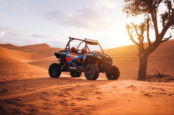 Evening Dubai Desert Safari, Red Sand, Premium camp shows & Diner - Buffet dinner and live BBQ station: what “premium camp dinner” really means