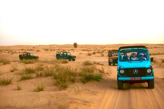 Evening Heritage Safari by Vintage G-Class at Al Marmoom Oasis - Key Things You’ll Notice on This Safari
