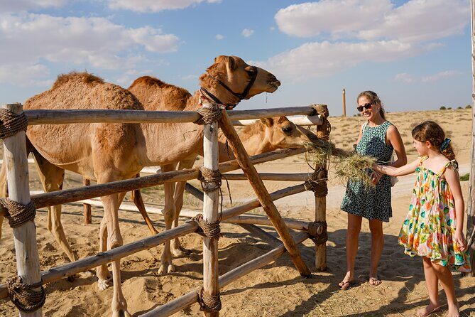 Evening Heritage Safari by Vintage G-Class at Al Marmoom Oasis - Bedouin Entertainment and the Stargazing Session With a Telescope