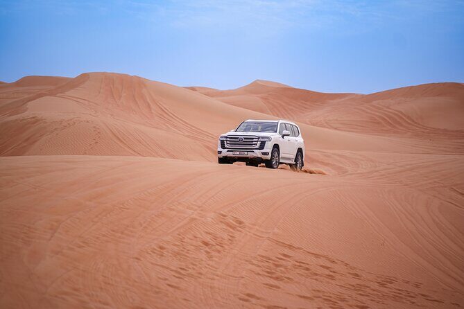 Evening Red Dunes Desert Safari In Dubai - The Desert Camp at Oasis Palm Tourism: Shows You Can Plan Around