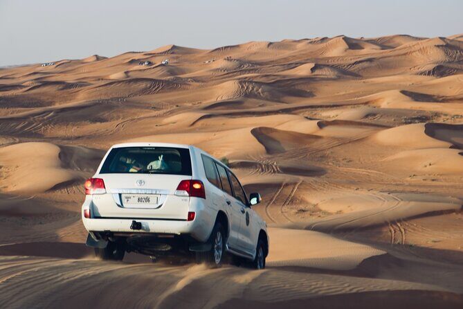Exclusive Evening Desert Safari - Who This Private Evening Desert Safari Is Best For