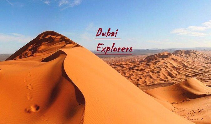 Exclusive Private Morning Desert Safari Adventure in Dubai - Price and value: why $202 per group can make sense