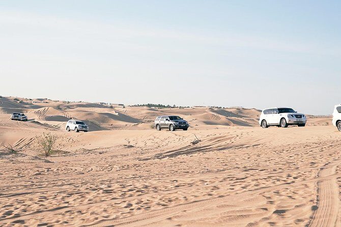 Exclusive Sunrise Desert Safari with Camel Ride Sand Boarding Dune Bashing - Camel Farm Calm-Down: Serenity After the Adrenaline