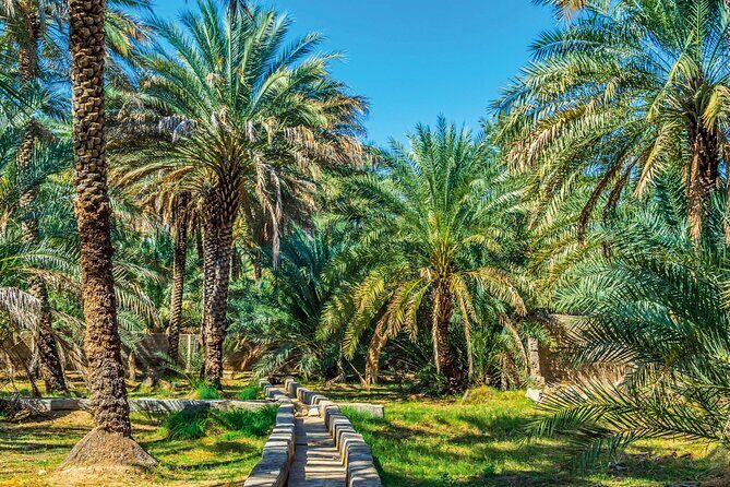 Explore Abu Dhabi In Full Day City Tour (8 Hours) - Emirates Palace, a photo moment, and the Corniche viewpoints