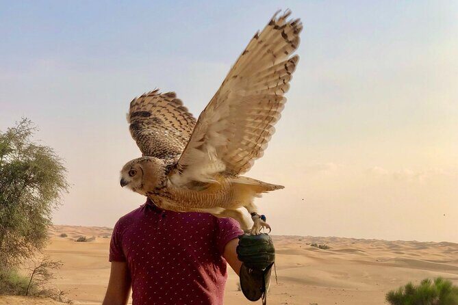 Falcon 1—Private Dubai Falconry Safari - Who Should Book This Falconry Safari