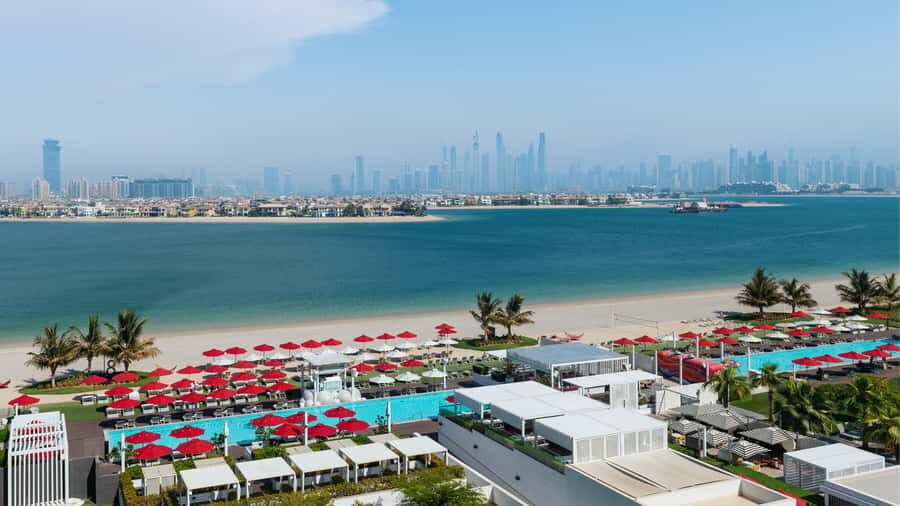 Fluid & Flavour: ENVY Lunch, Wine & Fluid Pool Club Pass - Key Things You’ll Notice Right Away